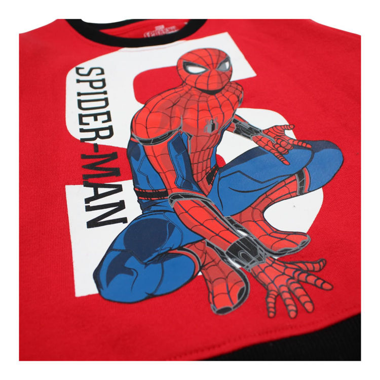 Picture of SPS52121560- Spiderman fleecy tracksuit  (4-12 years)